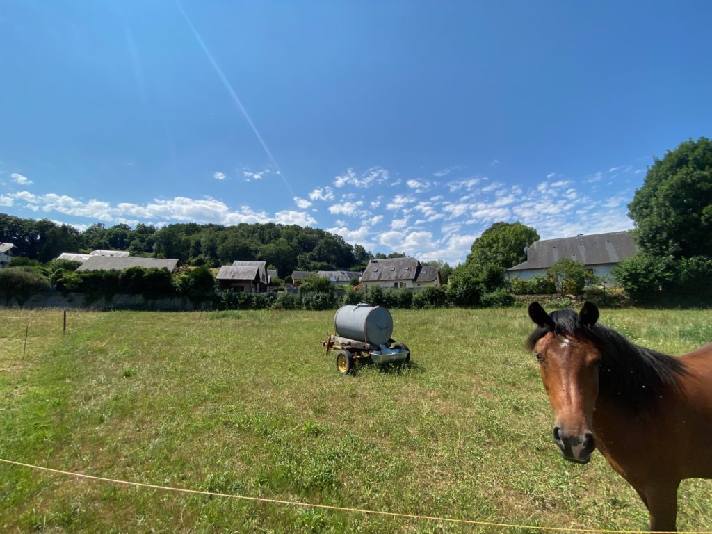 Terrain à LOURDES 65100 2200m2 78000 € - PHPA-26-08-10-45