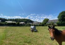 Terrain à LOURDES 65100 2200m2 78000 € - PHPA-26-08-10-45