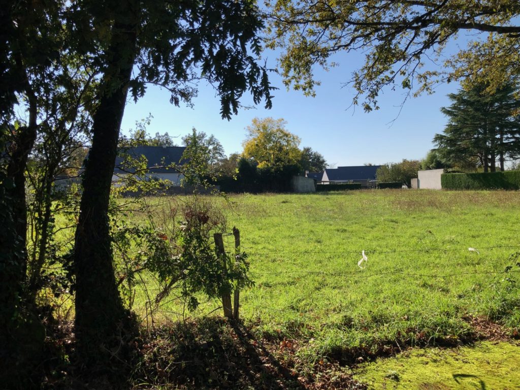 Terrain à Bourgneuf 17220 1059m2 249809 € - BFLR-26-07-31-1