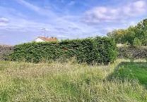 Terrain à PERROS-GUIREC 22700 521m2 137150 € - MLAG-26-08-17-1