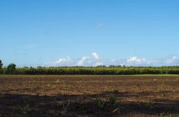 Terrain à Morlaix 29600 670m2 36850 € - CDER-25-05-09-36