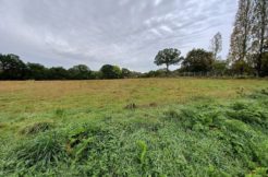 Terrain à Dinan 22100 385m2 85000 € - BONE-25-04-23-12