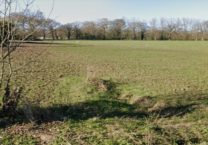 Terrain à Taden 22100 386m2 59000 € - BONE-25-08-28-8