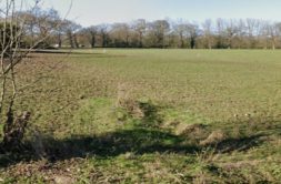 Terrain à Taden 22100 386m2 59000 € - BONE-25-08-28-8