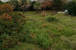 Terrain à Penmarc’h 29760 1300m2 230000 € - MBE-25-07-24-24
