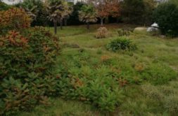 Terrain à Penmarc’h 29760 1300m2 230000 € - MBE-25-07-24-24