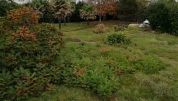 Terrain à Penmarc’h 29760 1300m2 230000 € - MBE-25-07-24-24